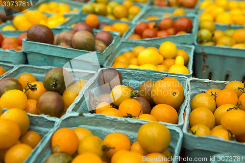 Image of Organic Tomatoes