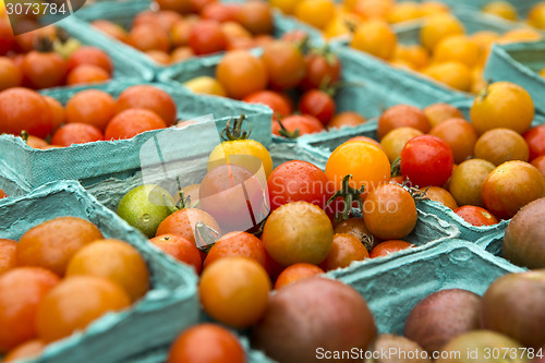 Image of Organic Tomatoes