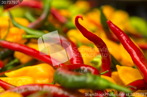 Image of Organic Peppers