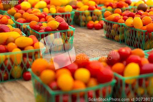 Image of Organic Tomatoes