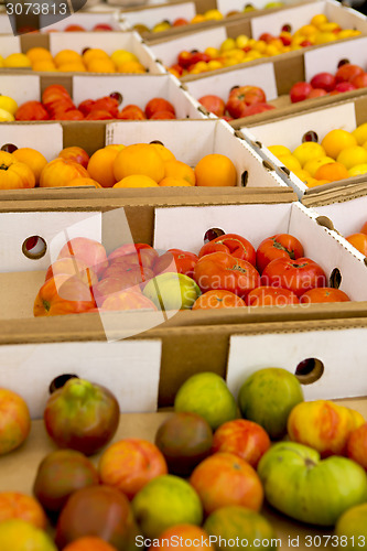 Image of Organic Tomatoes
