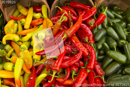 Image of Organic Peppers