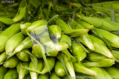 Image of Corn