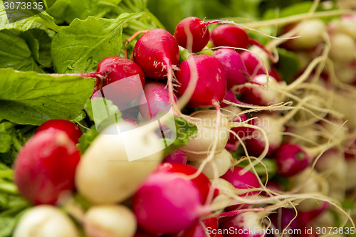 Image of Organic Radishes