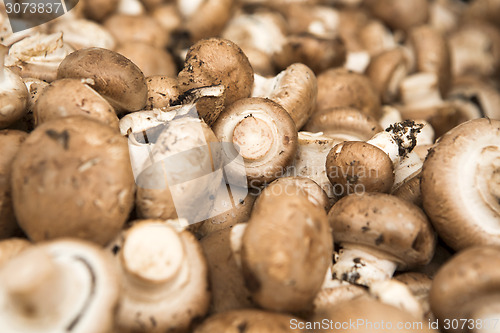 Image of Organic Mushrooms