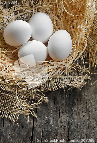 Image of eggs at hay nest