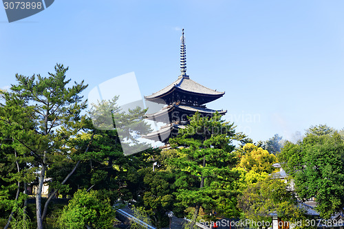 Image of Nara Landmark