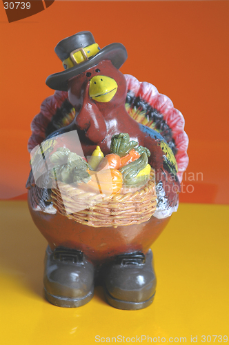 Image of pilgrim turkey