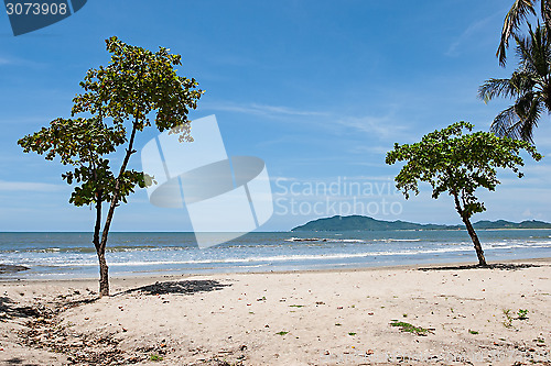 Image of Tropical Beach