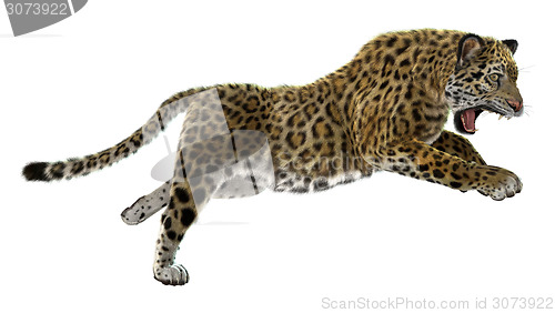 Image of Wild Jaguar