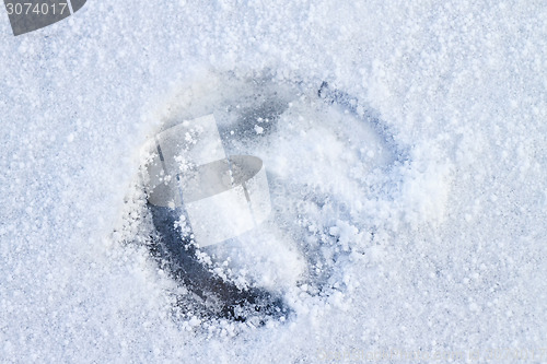 Image of Footprint of a Horse in Snow