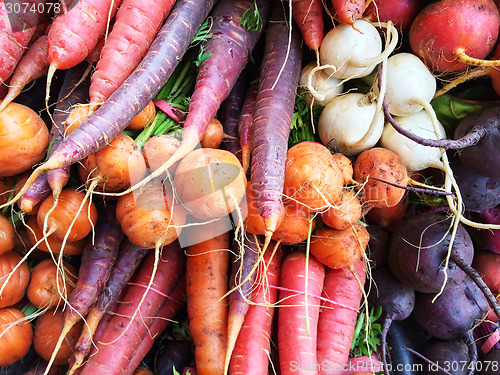 Image of Colorful root vegetables