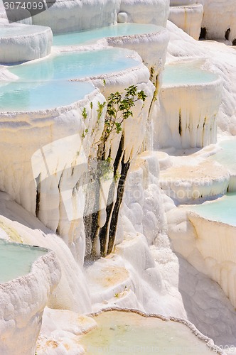 Image of Travertine pools and terraces in Pamukkale, Turkey