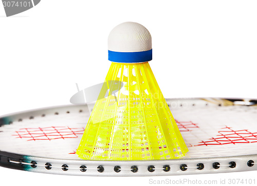 Image of Shuttlecock stand on the badminton racket