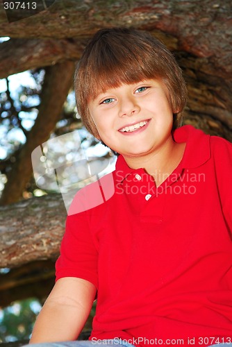 Image of Boy climbing a tree