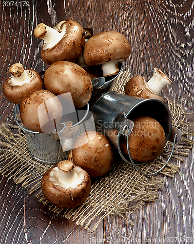 Image of Portabello Mushroom