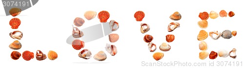 Image of Text LOVE composed of seashells
