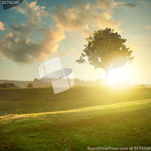 Image of landscape with tree on sunset