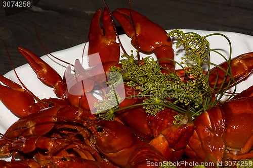 Image of crayfish