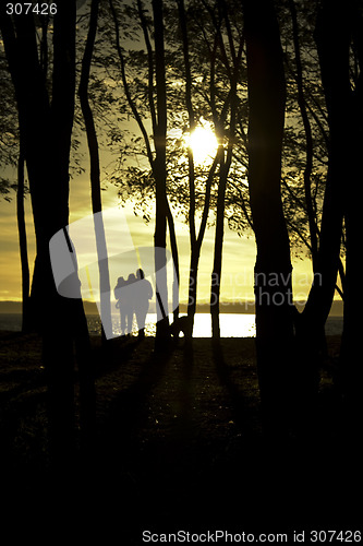 Image of Family at sunset