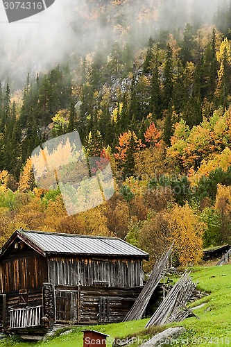 Image of fall in the mountains