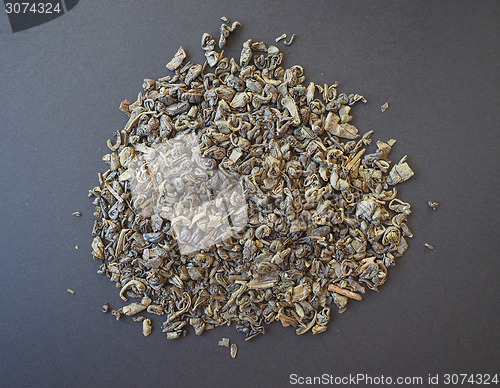 Image of Gunpowder Green Tea