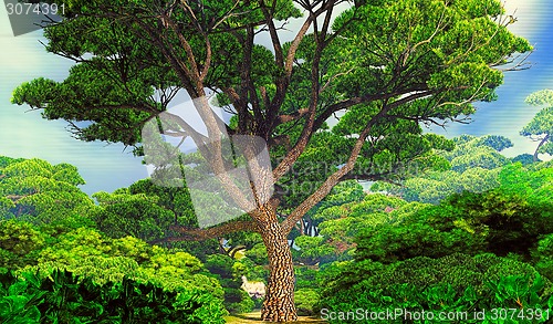 Image of Mighty tree