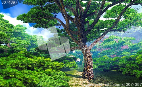 Image of Mighty tree