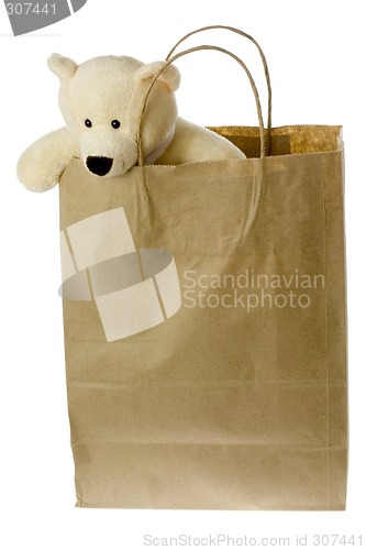 Image of Teddy bear in brown paper bag

