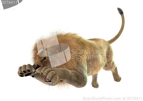 Image of Jumping Lion