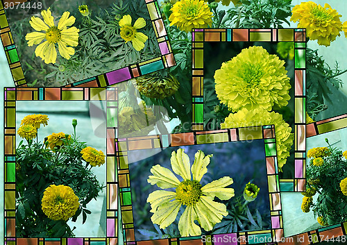 Image of Collage of Yellow flowers in frame as postcards