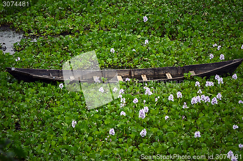 Image of A boat in the lake with water-lily flowers on blue leaf