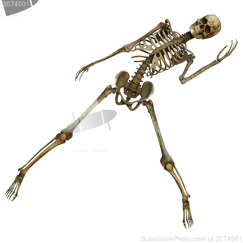 Image of Dancing Skeleton