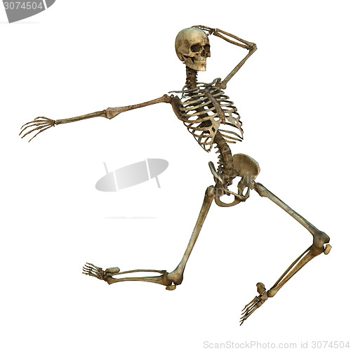 Image of Dancing Skeleton