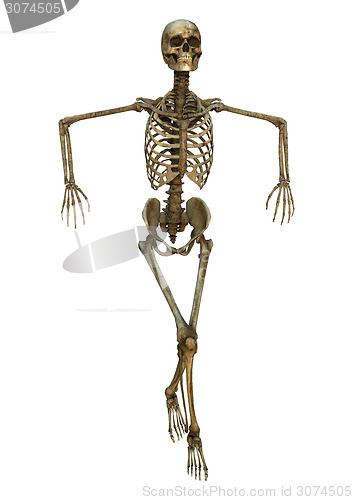 Image of Dancing Skeleton