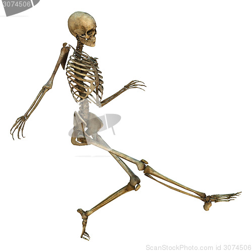 Image of Dancing Skeleton