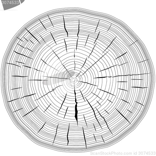 Image of Tree rings saw cut tree trunk background. Vector illustration.