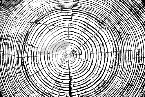 Image of Tree rings saw cut tree trunk background. Vector illustration.