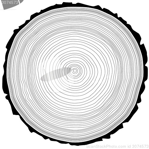 Image of Tree rings saw cut tree trunk background. Vector illustration.