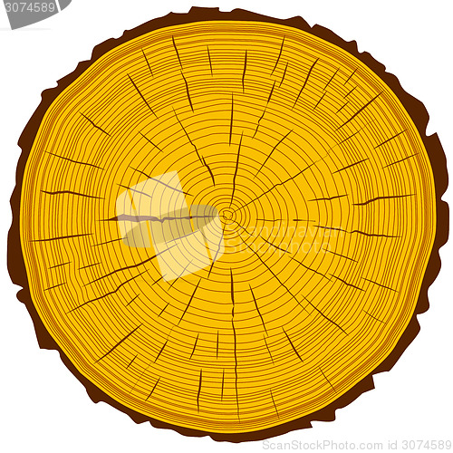 Image of Tree rings saw cut tree trunk background. Vector illustration.