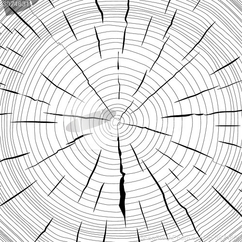 Image of Tree rings saw cut tree trunk background. Vector illustration.