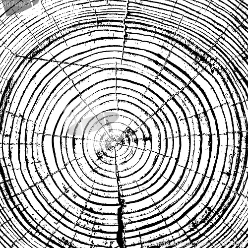 Image of Tree rings saw cut tree trunk background. Vector illustration.