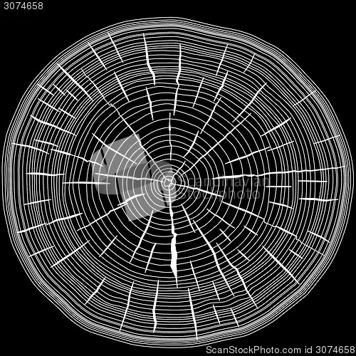 Image of Tree rings saw cut tree trunk background. Vector illustration.