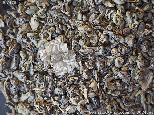 Image of Gunpowder Green Tea