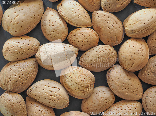 Image of Almond fruit