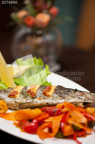 Image of rainbow trout fish