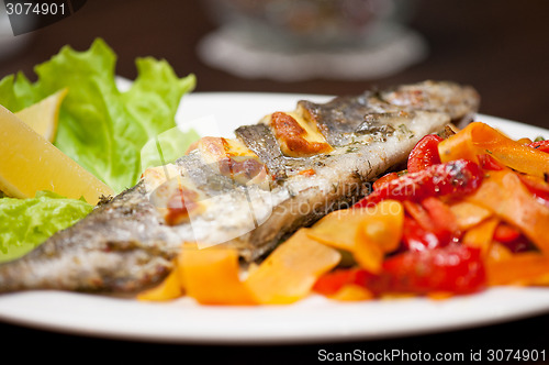 Image of rainbow trout fish