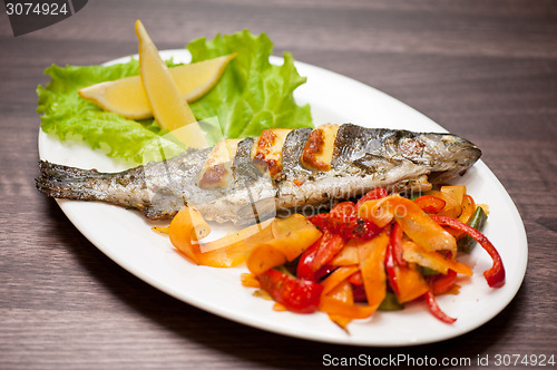 Image of rainbow trout fish