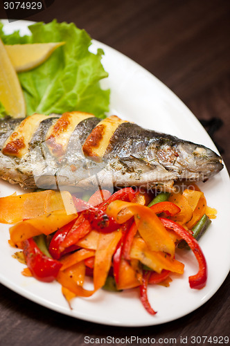Image of rainbow trout fish