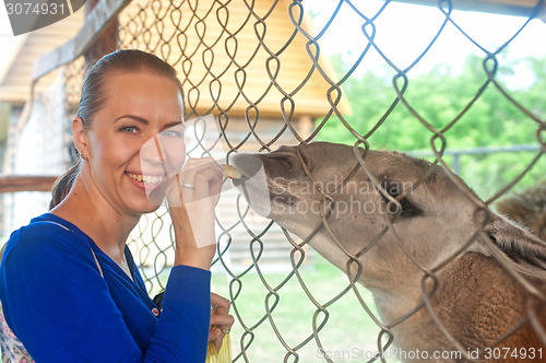 Image of feeding lama